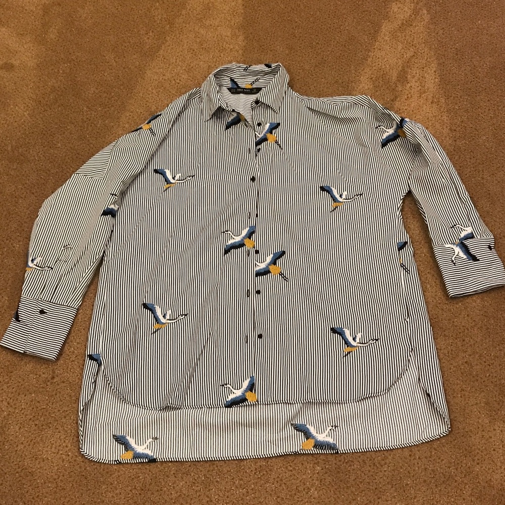 Zara embroidered collared oversized shirt
